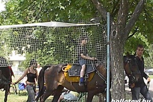 taxisnap_2006 021.JPG